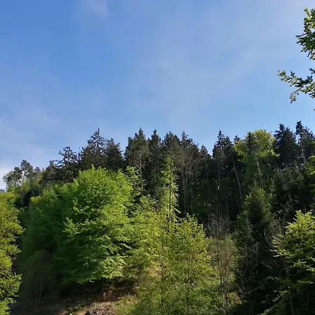 Tiny House Im Gruenen * St. Margrethen