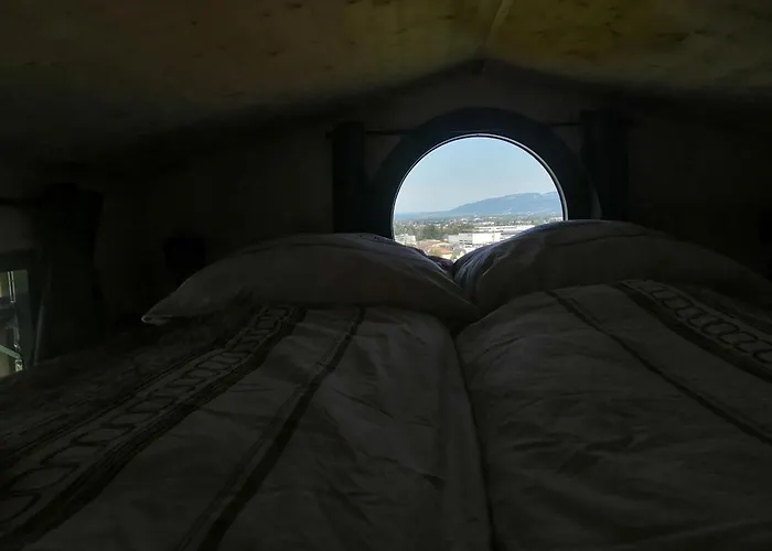 Tiny House Im Gruenen *