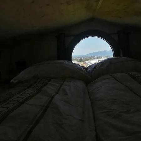 Tiny House Im Gruenen *